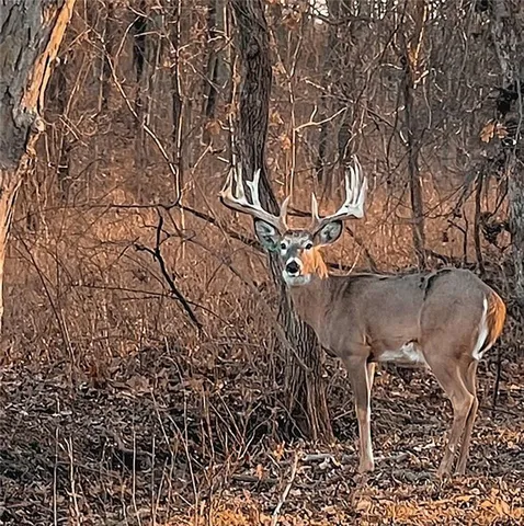 $2,139,000 | 882 260th Street, Fort Scott, KS 66701