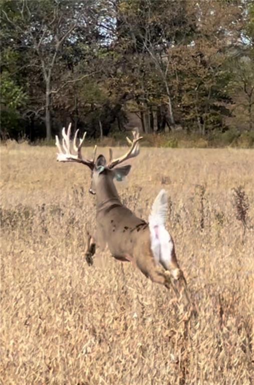 882 260th Street Fort Scott, KS 66701 - Photo 81 of 88