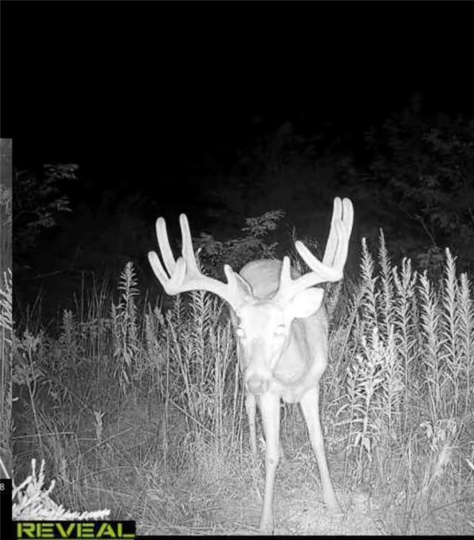 882 260th Street Fort Scott, KS 66701 - Photo 81 of 95