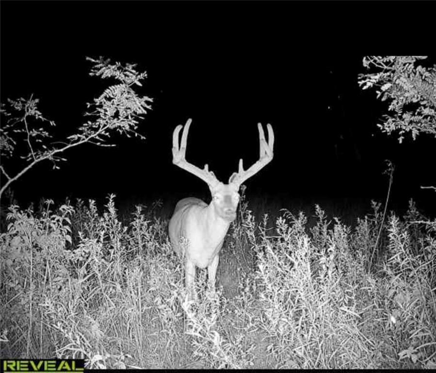 882 260th Street Fort Scott, KS 66701 - Photo 82 of 95