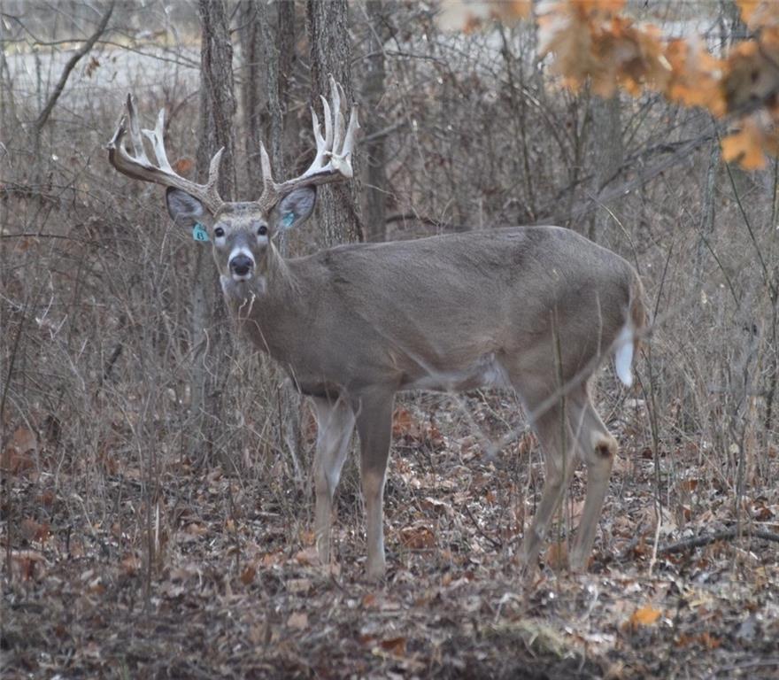 882 260th Street Fort Scott, KS 66701 - Photo 83 of 88