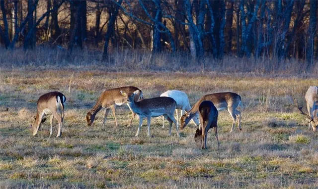 $2,139,000 | 882 260th Street, Fort Scott, KS 66701