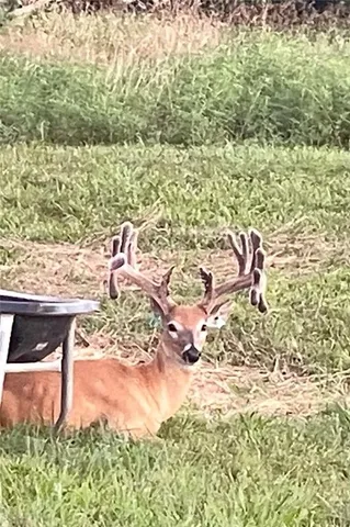 $2,139,000 | 882 260th Street, Fort Scott, KS 66701