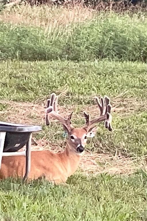 882 260th Street Fort Scott, KS 66701 - Photo 84 of 88