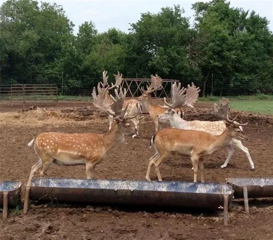 $2,139,000 | 882 260th Street, Fort Scott, KS 66701