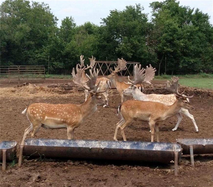 882 260th Street Fort Scott, KS 66701 - Photo 85 of 88