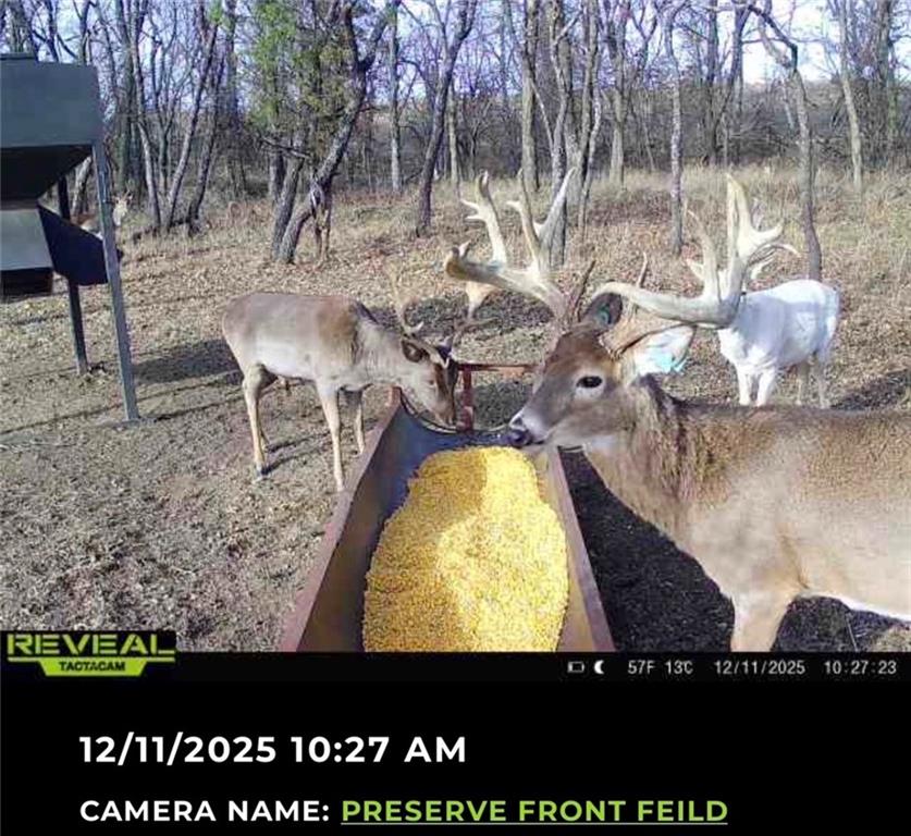 882 260th Street Fort Scott, KS 66701 - Photo 85 of 95