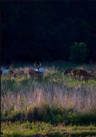 $2,139,000 | 882 260th Street, Fort Scott, KS 66701