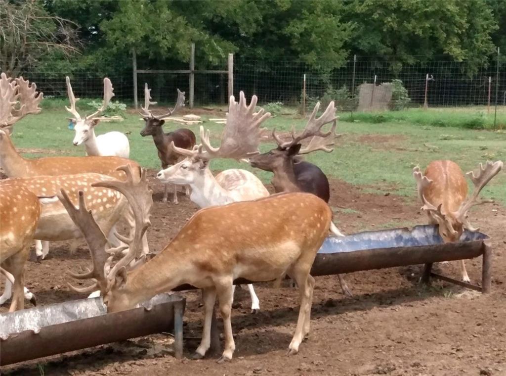 882 260th Street Fort Scott, KS 66701 - Photo 86 of 88