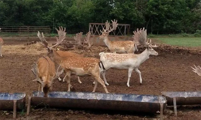 $2,139,000 | 882 260th Street, Fort Scott, KS 66701