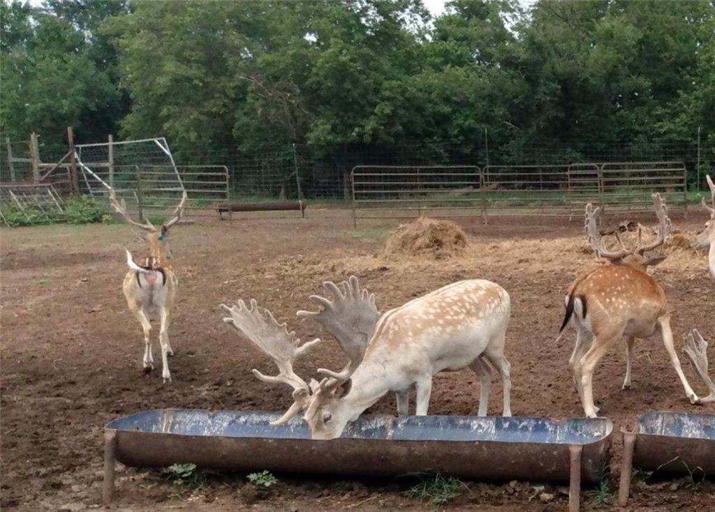882 260th Street Fort Scott, KS 66701 - Photo 88 of 88