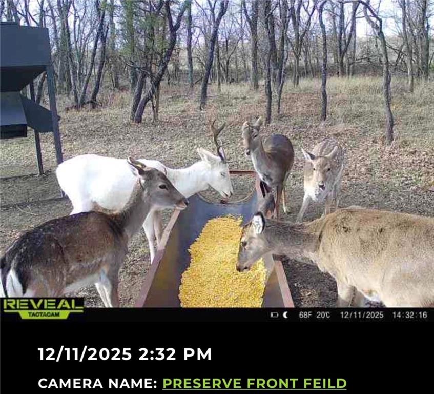 882 260th Street Fort Scott, KS 66701 - Photo 92 of 95