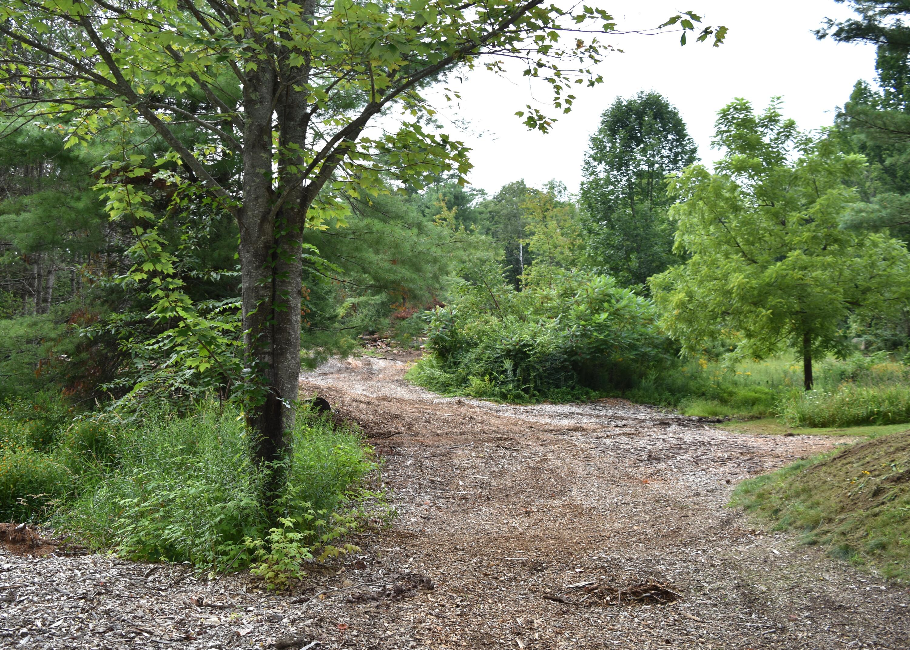 602 Water Street West Newfield, ME 04095 - Photo 19 of 26 Yard 1