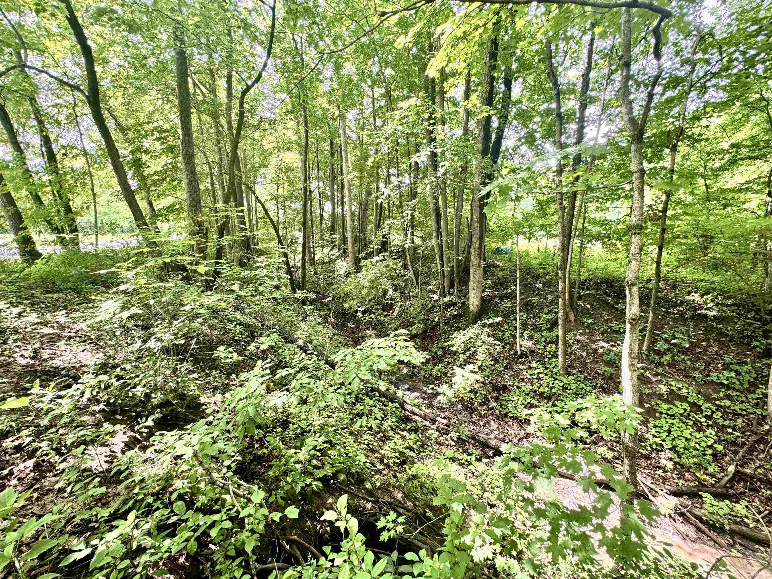 434 Hauenstein Road Huntington, IN 46750 - Photo 47 of 50 Gallery Image 47
