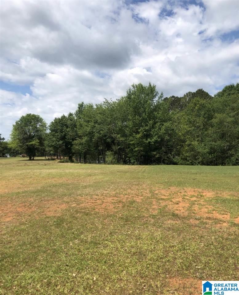 Lot 3 Carleton Point Lane, Unit 3 Wilsonville, AL 35186 - Photo 2 of 3