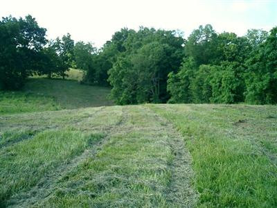 3215 Sugar Camp Road, Unit 3 Fort Mitchell, KY 41017 - Photo 2 of 2 Gallery Image 2