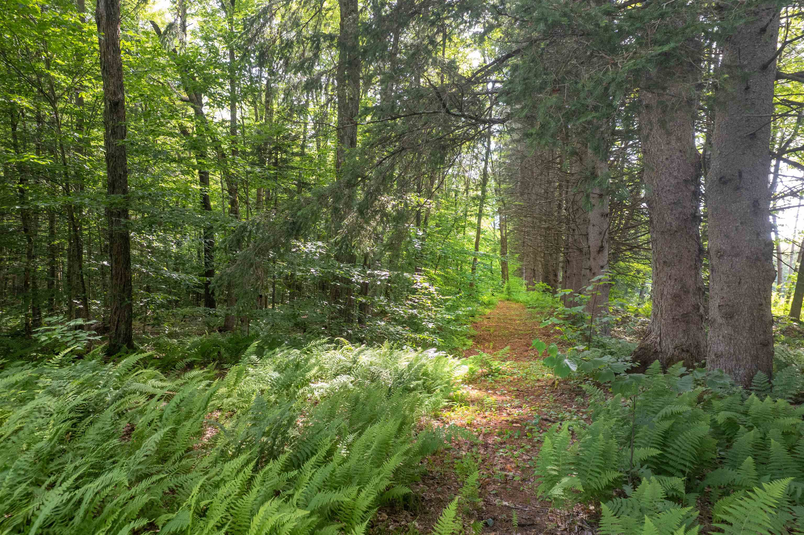 2005 Keiffer Road Shrewsbury, VT 05738 - Photo 48 of 51