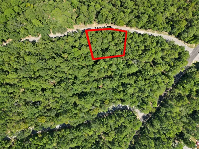 a view of a small garden