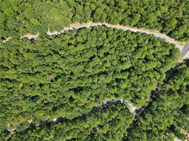 a view of a lush green forest