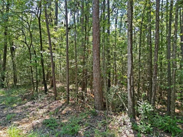 a view of outdoor space and green space