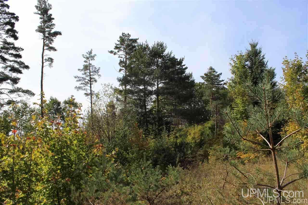 23827 Hulkonen Road Nisula, MI 49952 - Photo 13 of 44 Gallery Image 13