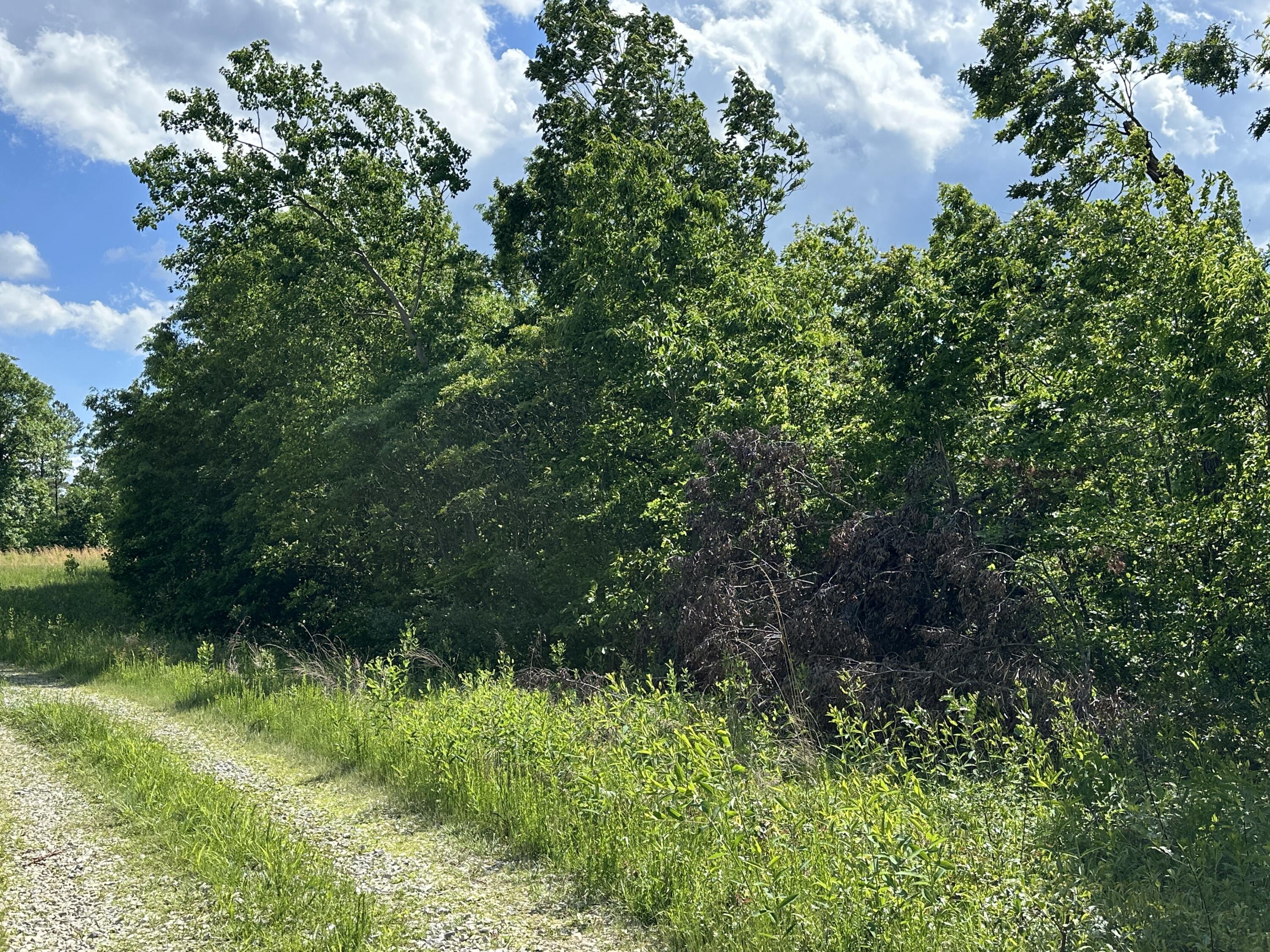 14 Williams Creek Road Denton, KY 41132 - Photo 9 of 29 8