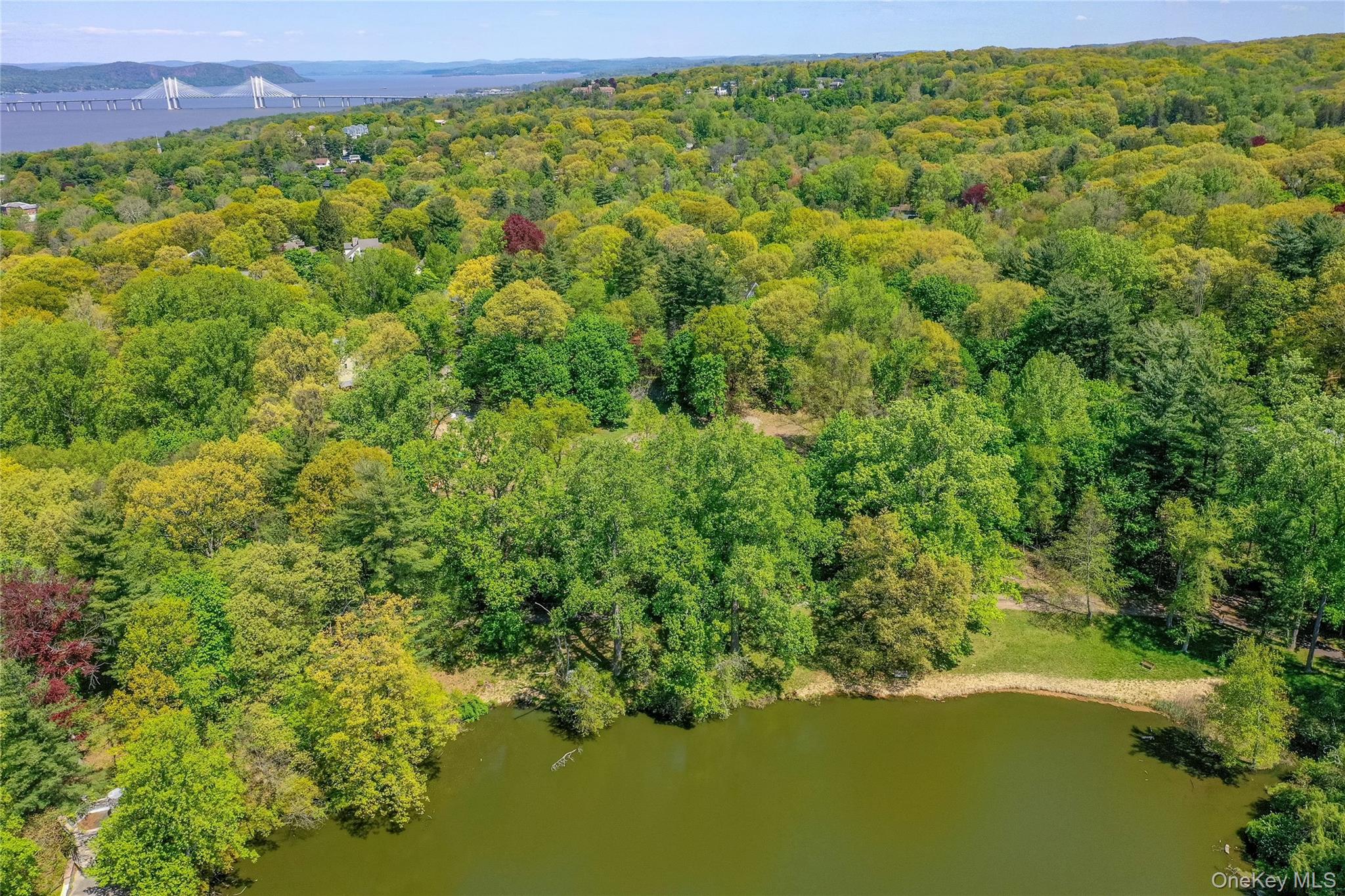 Lot #1 Castle Road Irvington, NY 10533 - Photo 14 of 26 a view of a garden