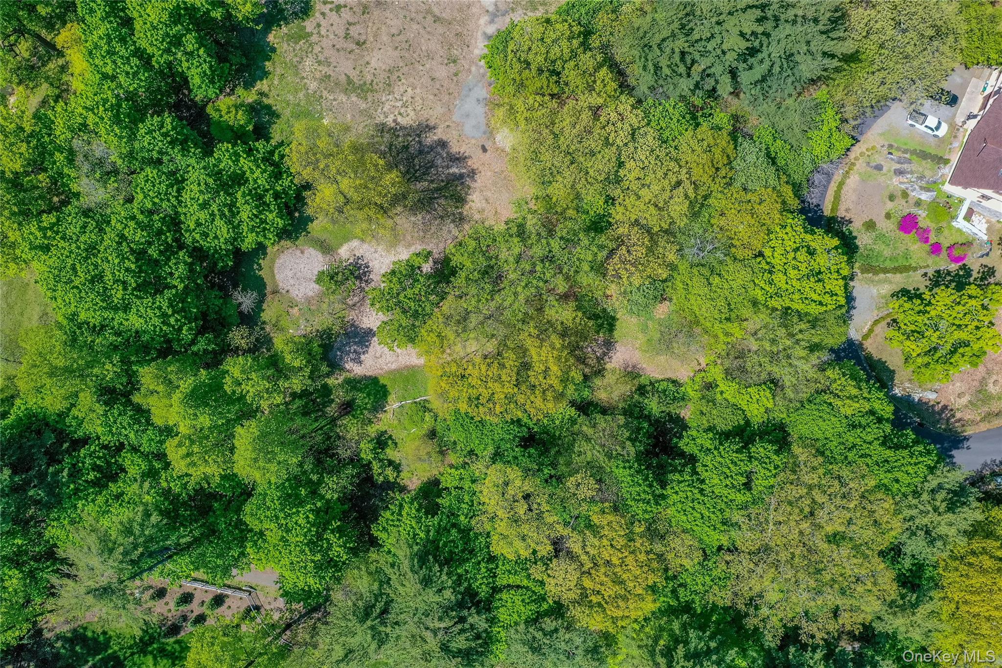 Lot #1 Castle Road Irvington, NY 10533 - Photo 17 of 26 a view of a plants in a garden