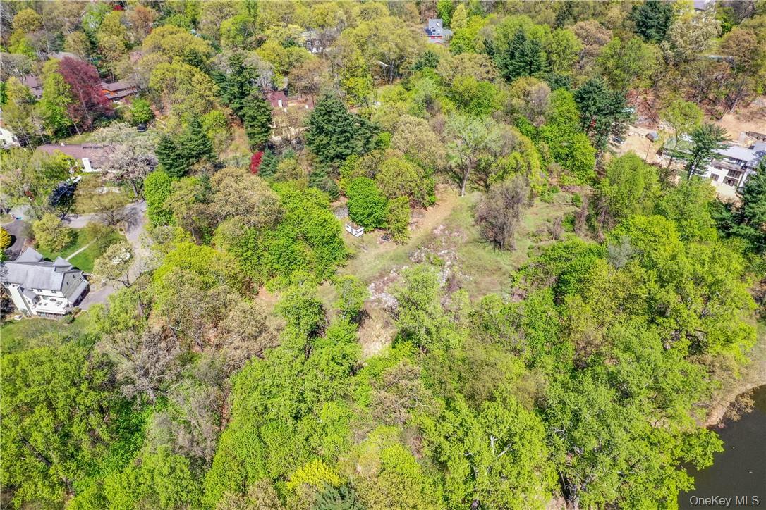 Lot #1 Castle Road Irvington, NY 10533 - Photo 6 of 26 a view of a lush green forest