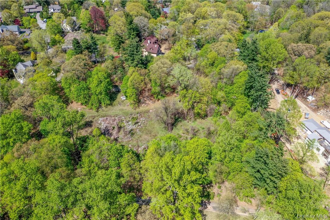 Lot #1 Castle Road Irvington, NY 10533 - Photo 8 of 26 a view of a lush green forest with lots of trees