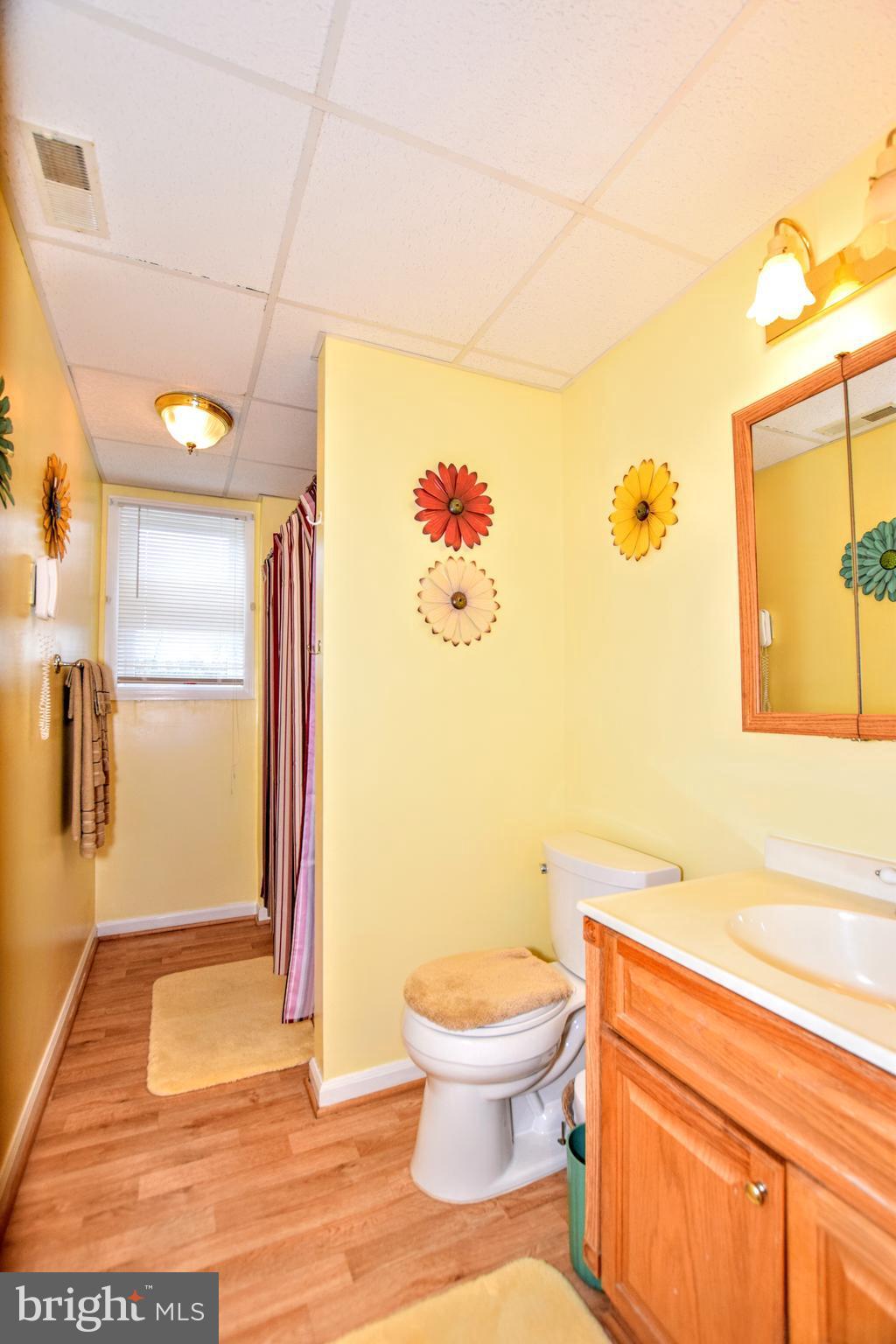 2521 Urey Road White Hall, MD 21161 - Photo 25 of 29 Full Bath in Lower Level