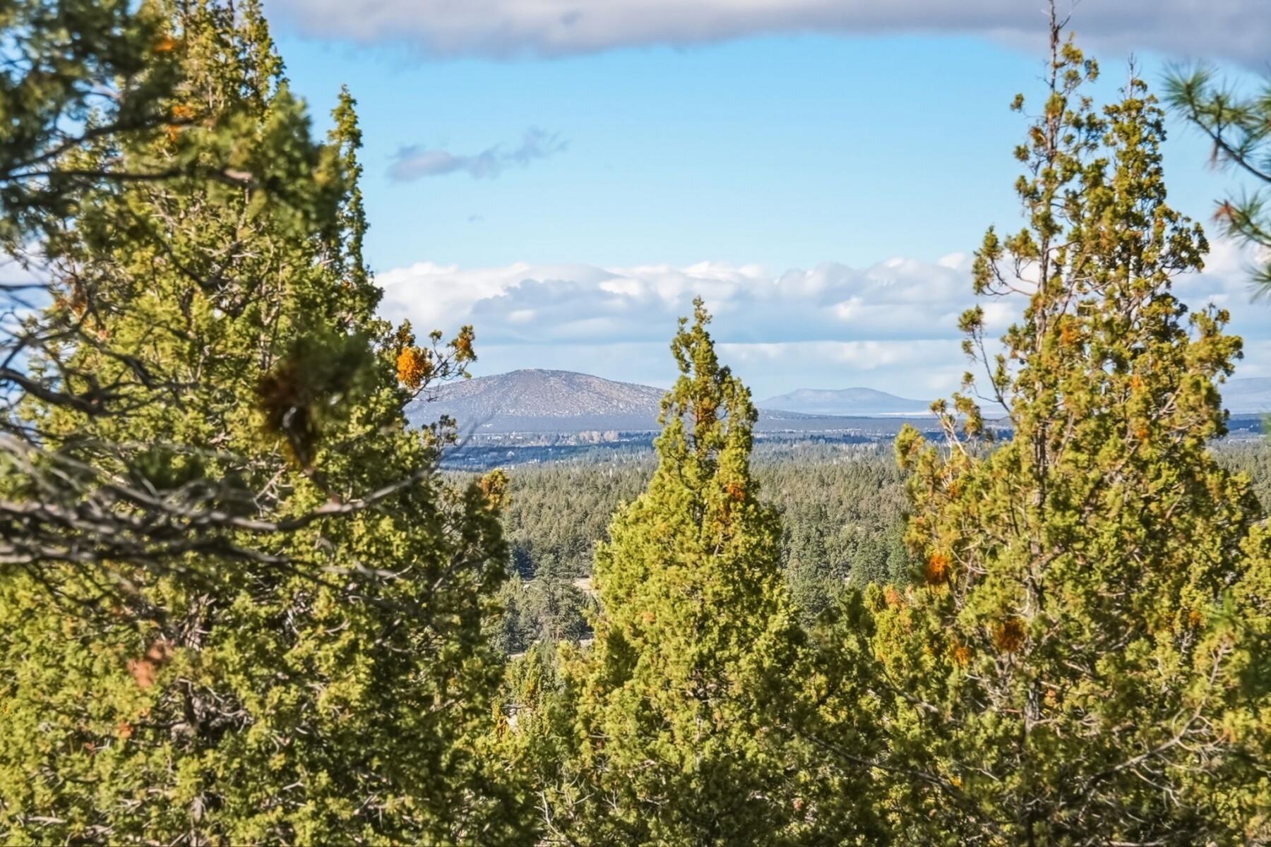 1560 Northwest Wild Rye Circle Bend, OR 97703 - Photo 14 of 18 batch_14 - 13 - 32-web-or-mls-Riley_Visu