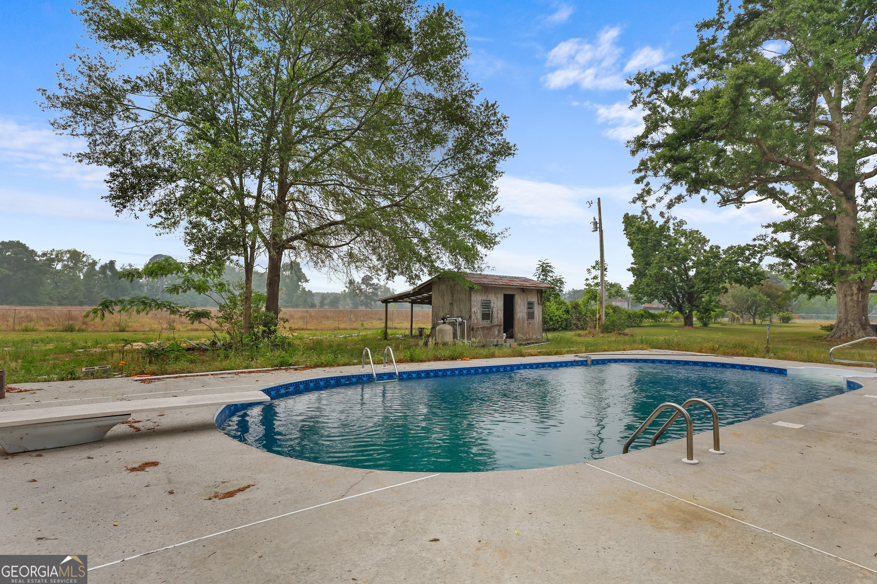 565 Bragg Road Brooklet, GA 30415 - Photo 28 of 44 a view of swimming pool with a yard and large tree