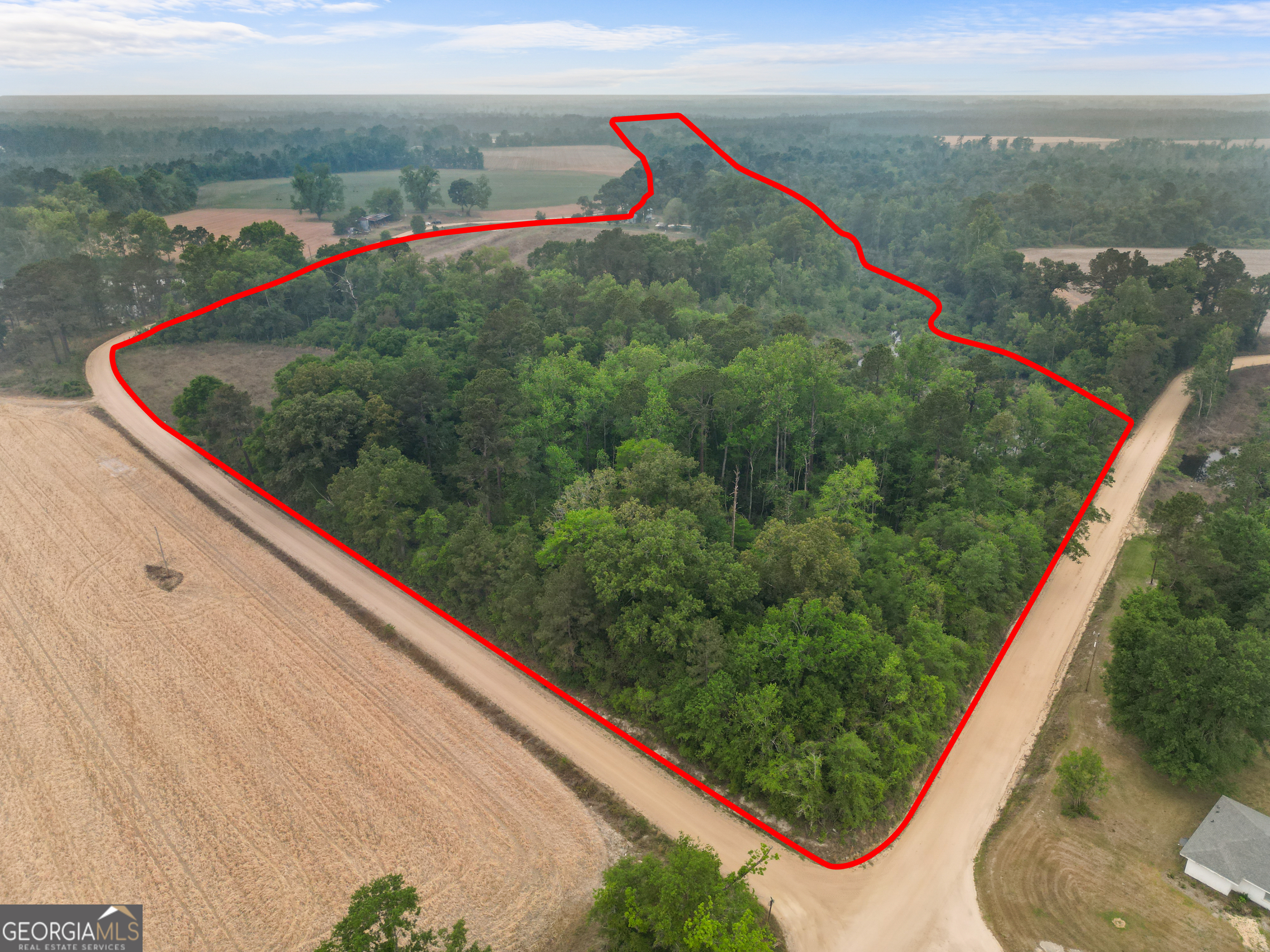 565 Bragg Road Brooklet, GA 30415 - Photo 43 of 44 a view of a small pond with lots of trees in the background
