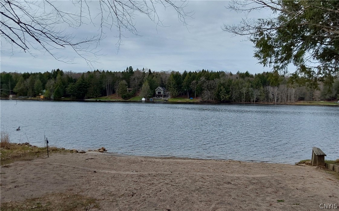 6504 Lorraine Avenue Remsen, NY 13438 - Photo 37 of 44
