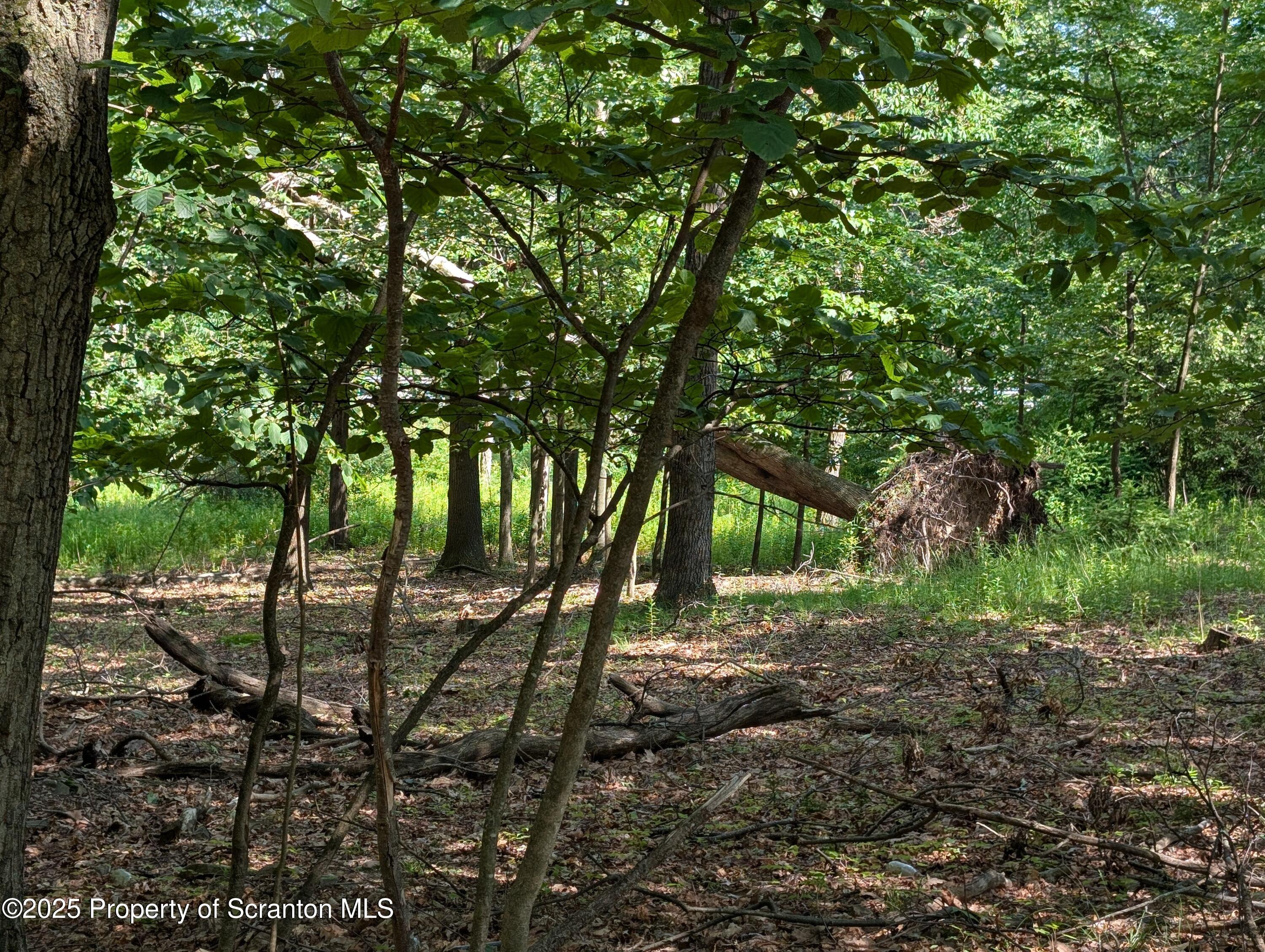 Marginal Road Scranton, PA 18504 - Photo 2 of 4 a view of outdoor space and yard
