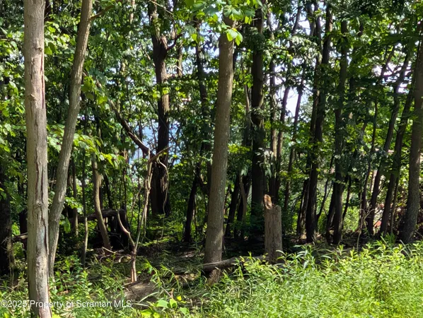 a view of backyard with green space