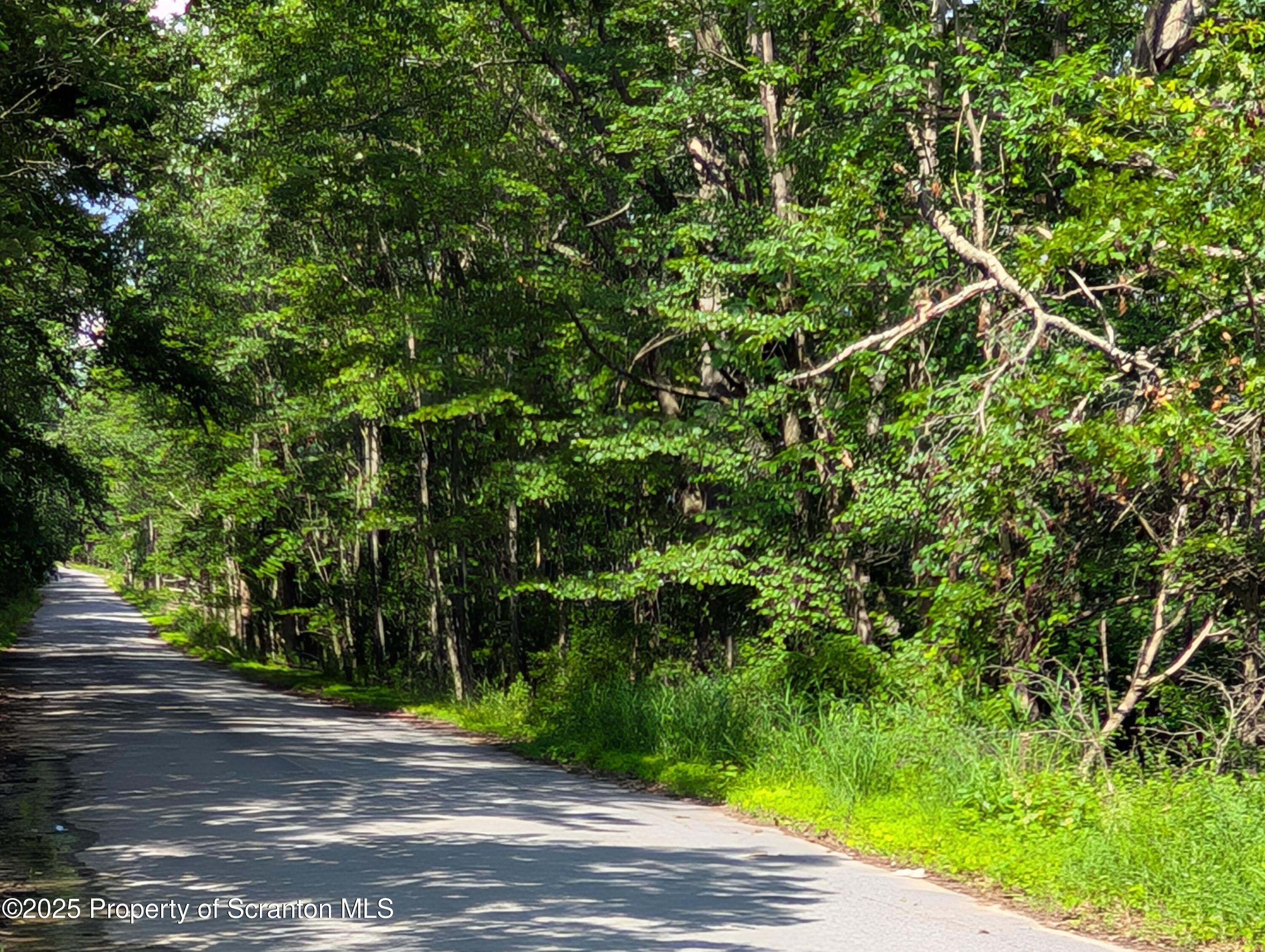 Marginal Road Scranton, PA 18504 - Photo 4 of 4 a view of a yard with plants and trees