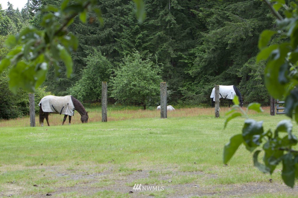 6159 Banner Road Southeast Port Orchard, WA 98367 - Photo 22 of 24 Gallery Image 22