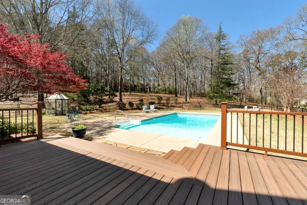 a view of a yard with plants and a tree