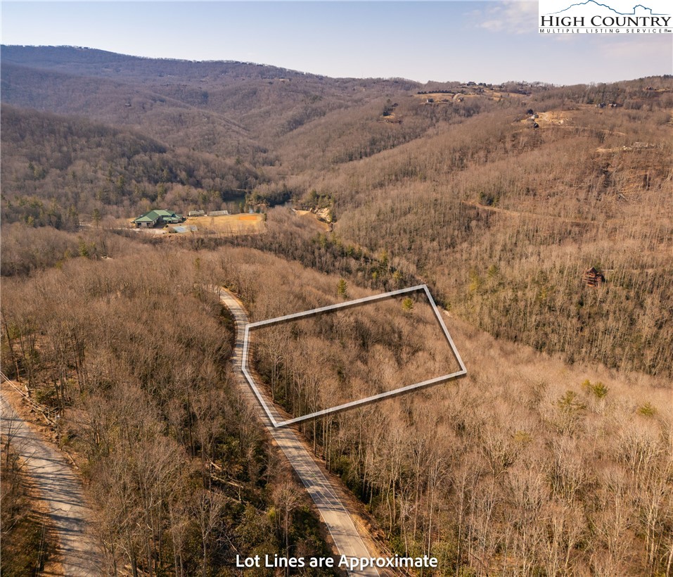 1122 Pine Ridge Road Beech Mountain, NC 28604 - Photo 2 of 38 a view of a dry yard