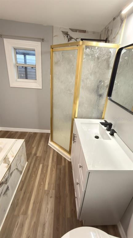 14740 Johns Road Dade City, FL 33525 - Photo 16 of 46 a bathroom with a sink a mirror and a shower