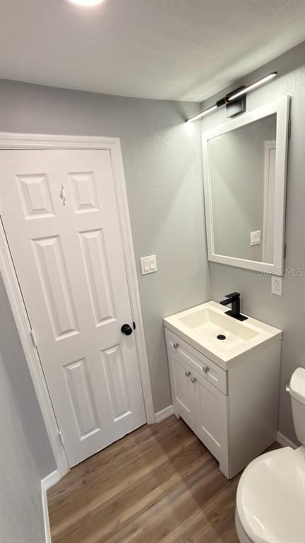 14740 Johns Road Dade City, FL 33525 - Photo 22 of 46 a bathroom with a sink a toilet a mirror and vanity
