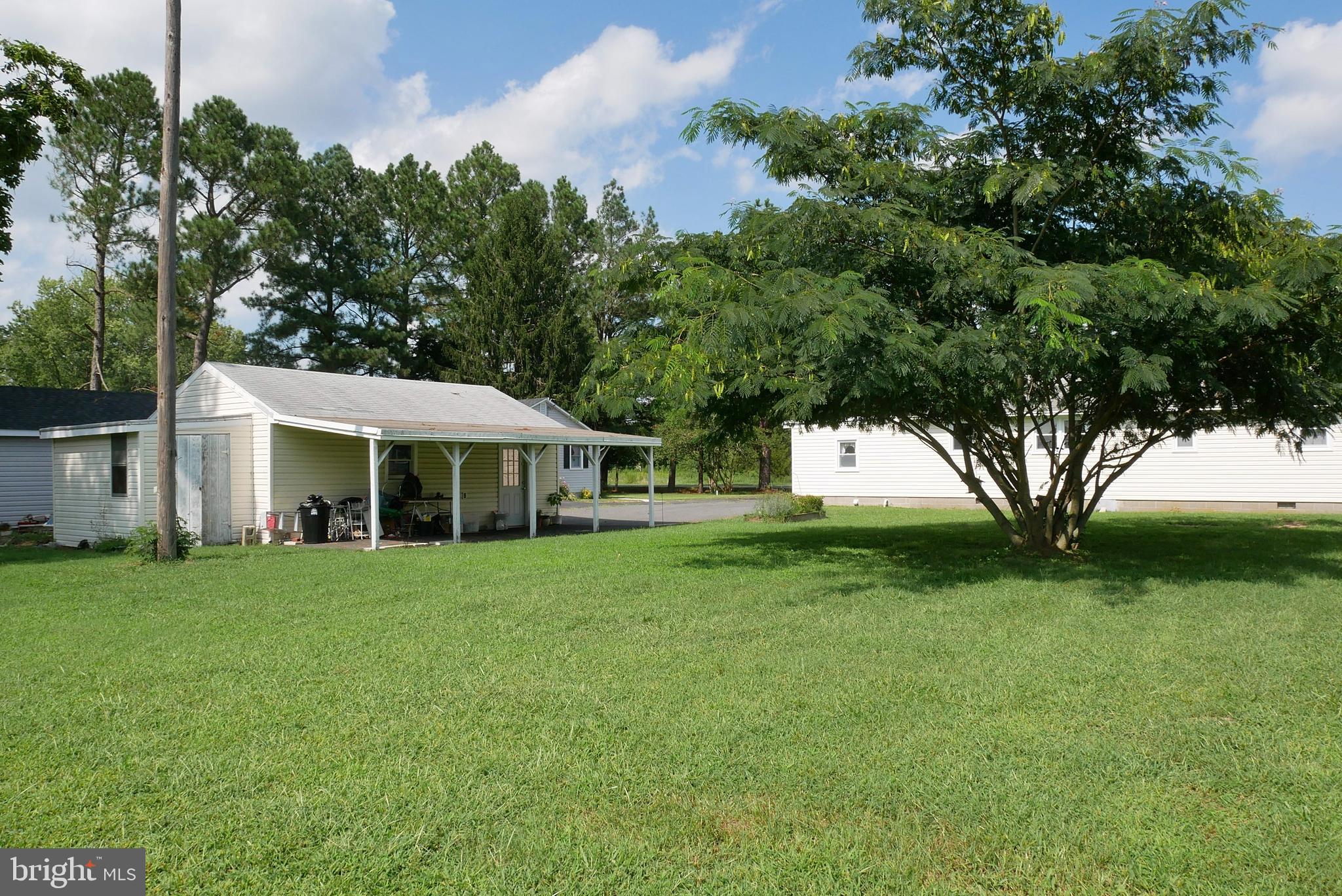30540 Armory Road Frankford, DE 19945 - Photo 17 of 23 Pretty yard and carport