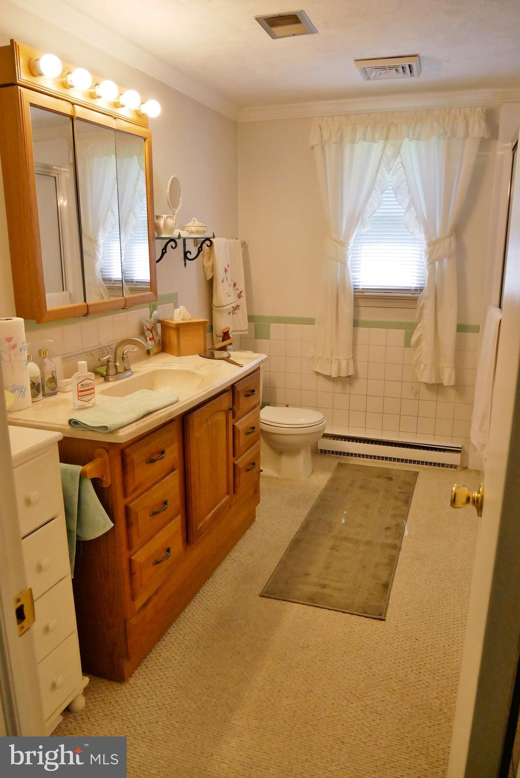 30540 Armory Road Frankford, DE 19945 - Photo 18 of 23 Hall bathroom