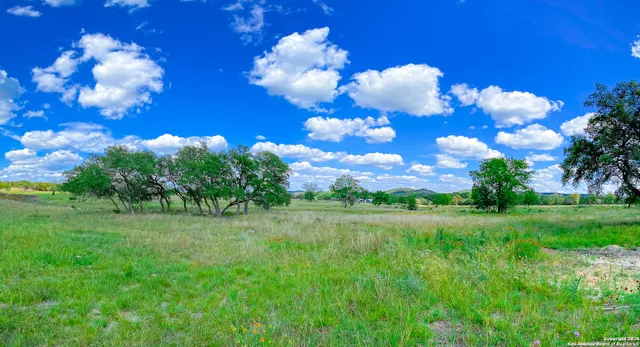 a view of a big yard with lots of green space