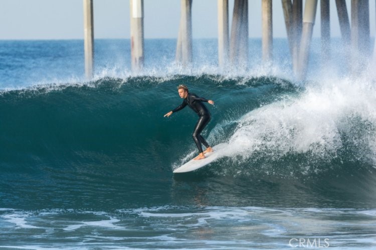 25251 Tuna Drive Dana Point, CA 92629 - Photo 30 of 30 a view of a garden