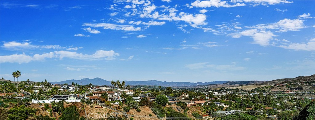 25251 Tuna Drive Dana Point, CA 92629 - Photo 10 of 30 a view of a city