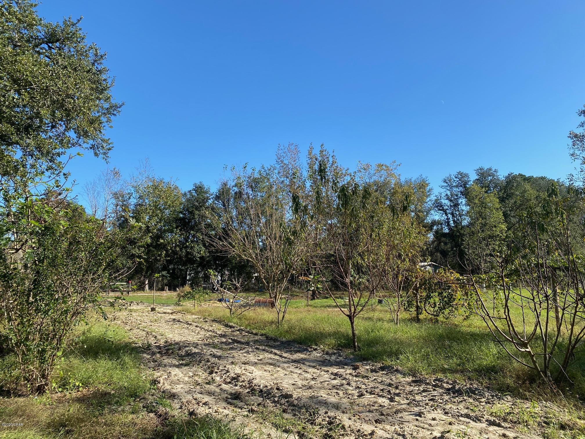 7147 Butler Road Sneads, FL 32460 - Photo 23 of 27