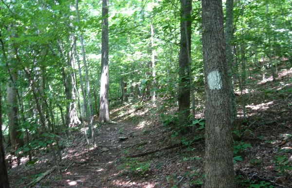 $48,000 | 3.25-ac Willscott Mountain Drive, Murphy, NC 28906